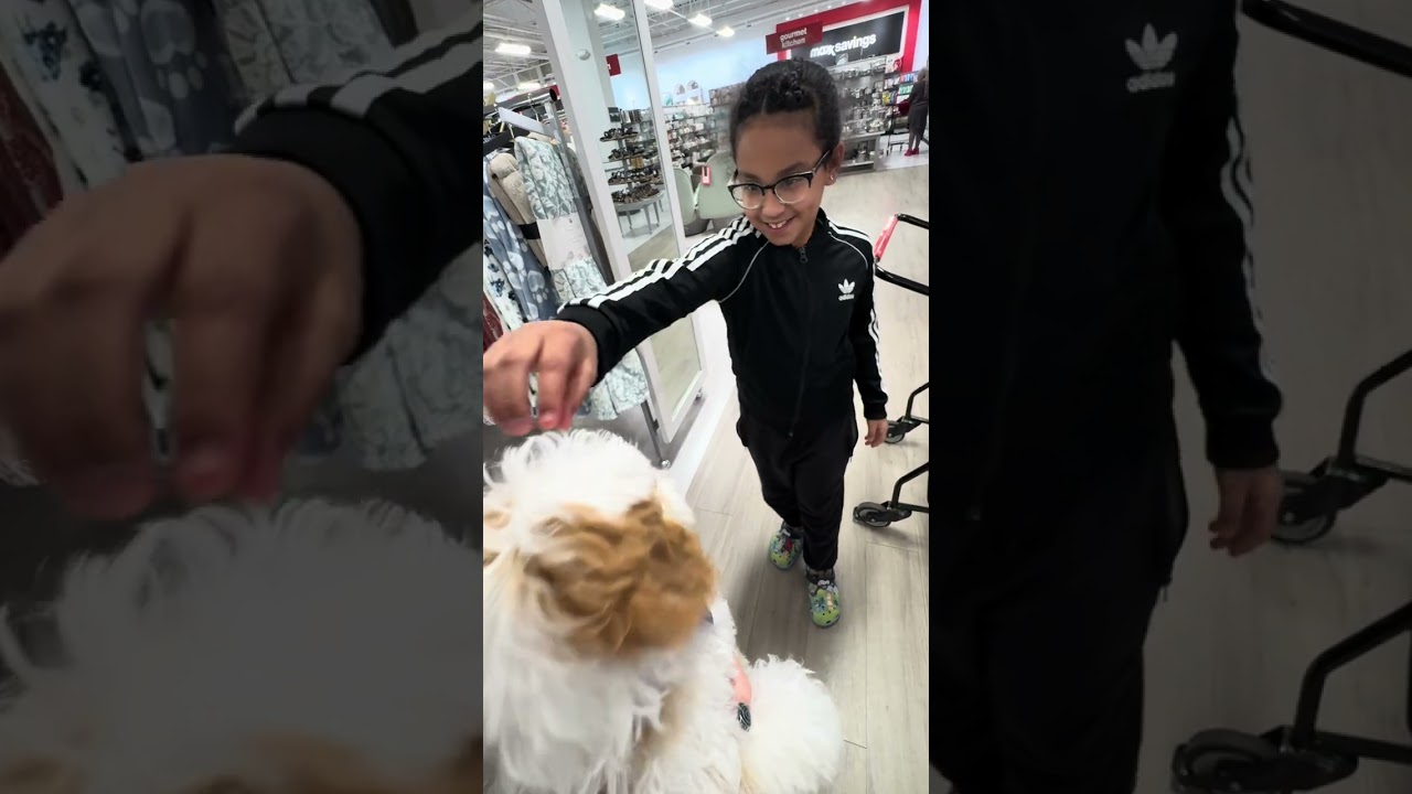 🎥 Charlie’s Social Training Adventure | Starbucks, Hobby Lobby & TJ Maxx 🐶