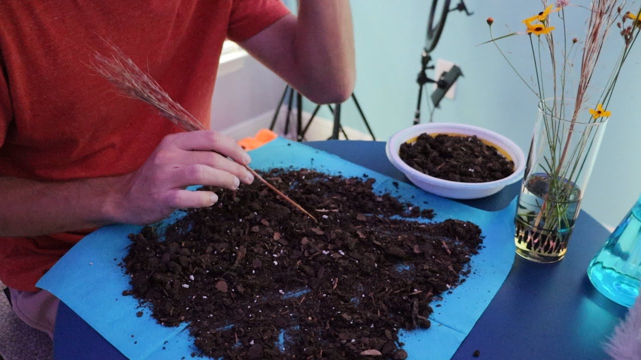 Predictions Using Mud & Soil (ASMR)