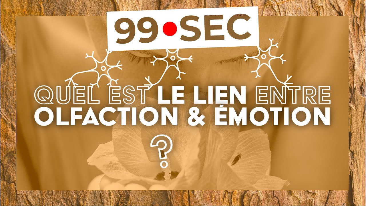 Quel est le lien entre OLFACTION et ÉMOTION ? | 99🔴SEC