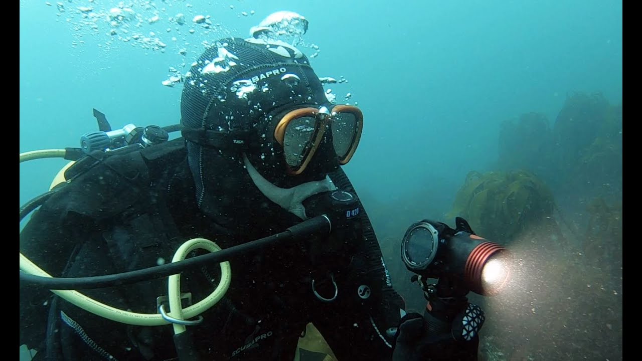 Scuba Diving Gear Review: TUSA Intega Mask