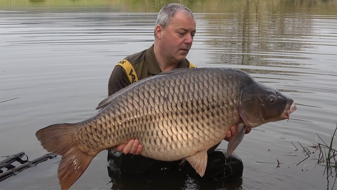 🐟  Meer dan 50 KARPERS voor Richard Lous op het bekende Franse betaalwater Etang des Gaulois 🐟
