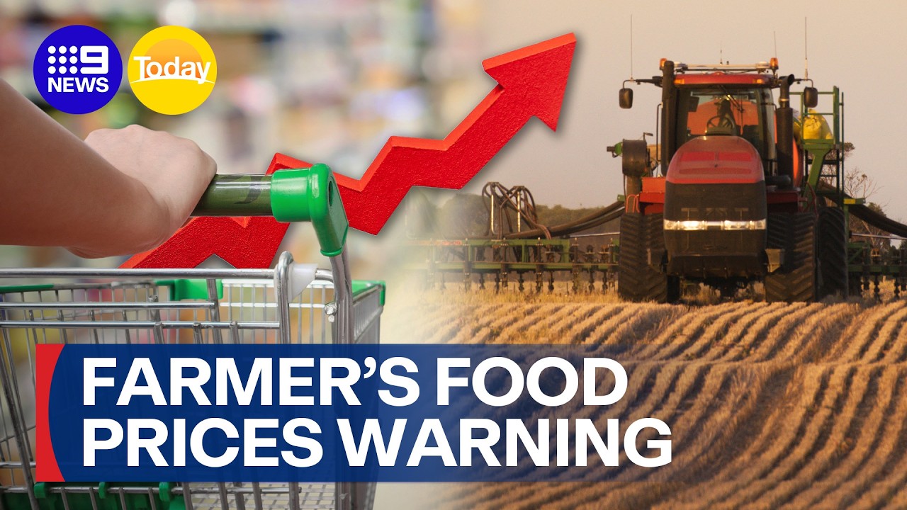 Farmers warn of high food prices over fuel shortages | 9 News Australia