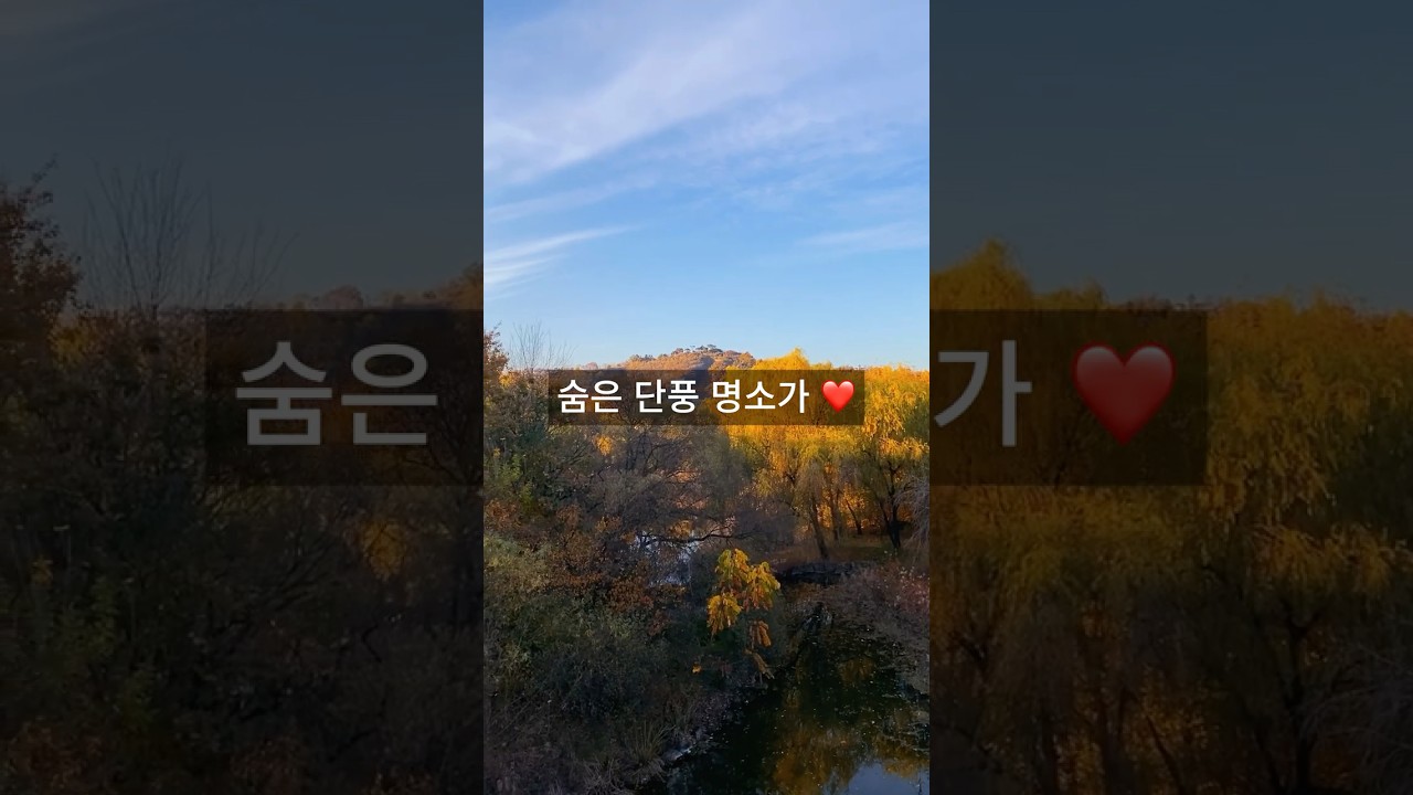 서울 도심의 숨은 단풍명소를 찾아 떠나는 러닝 코스🍁