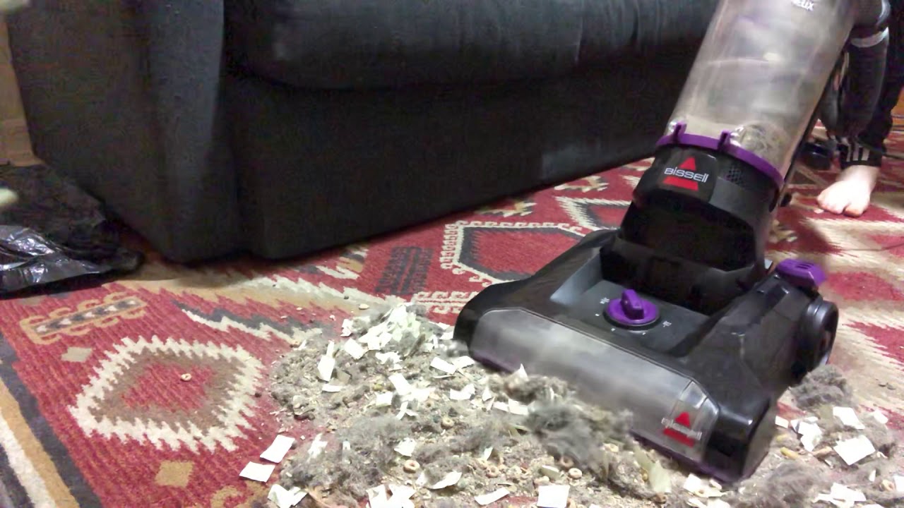 Medium Bissell Mess Test