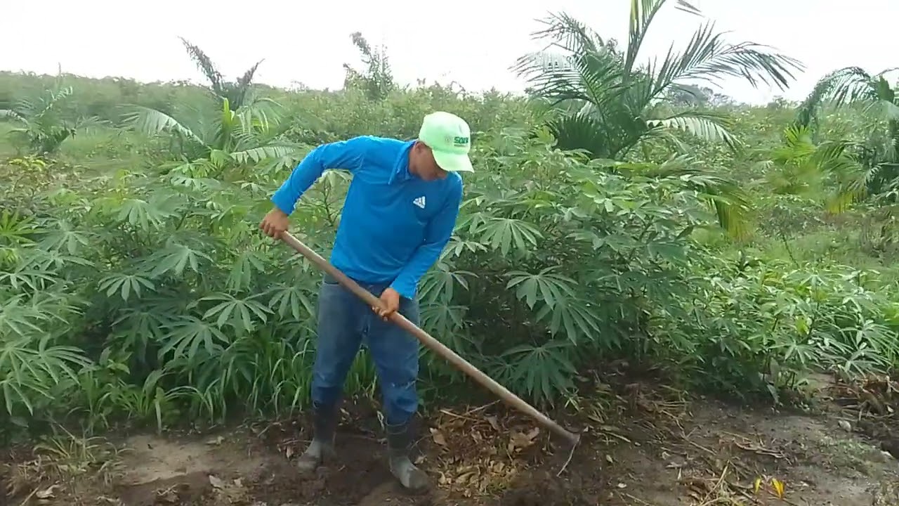 Começando más um dia de trabalho