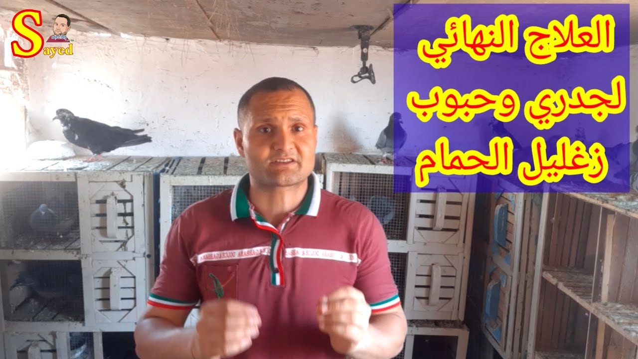 اسرع طريقه للقضاء على جدري وحبوب زغليل الحمام#افضل علاج بشري يمنع ظهور وانتشار جدري الحمام