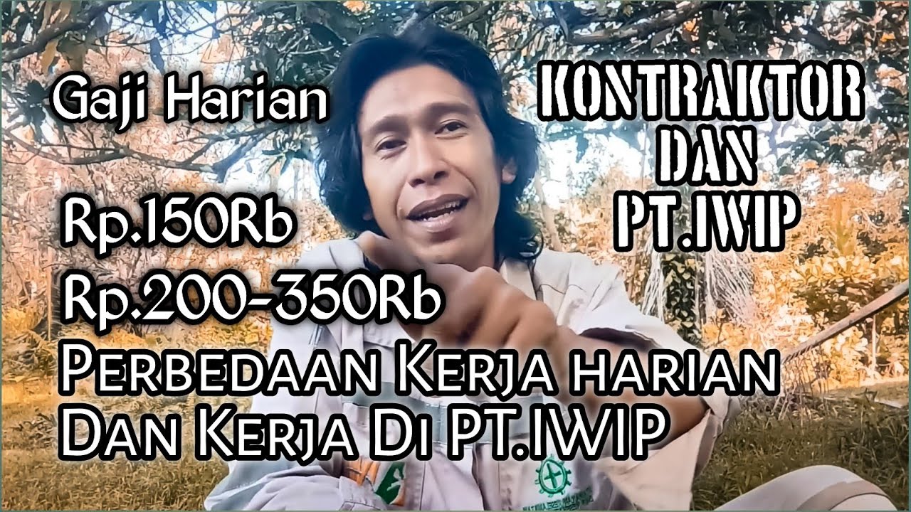Gaji Kontraktor Harian Dan PT.IWIP Berapa? Apa Perbedaanya?
