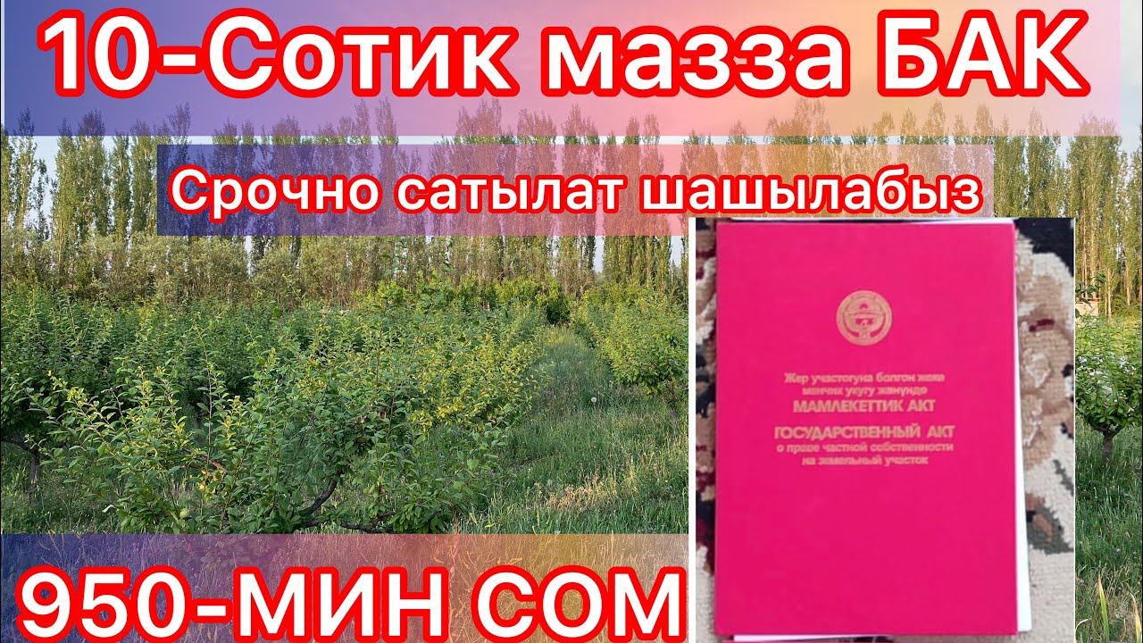 Участканы зору ☎️ 0224285141