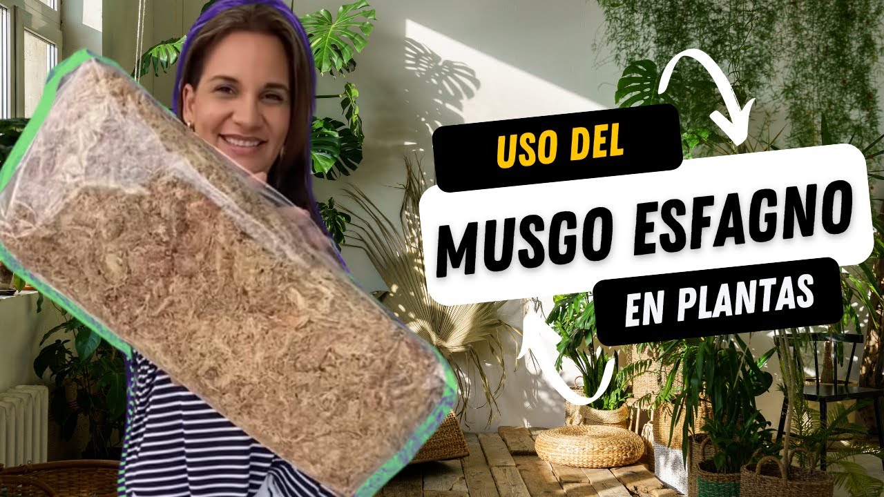 Propiedades/Uso del Musgo de Esfagno en las Plantas