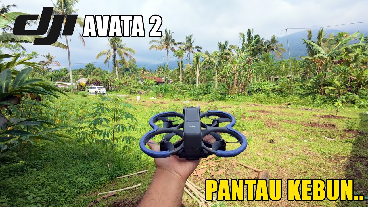 PANTAU KEBUN PAKAI AVATA 2!! BISA LONGRAGE?!