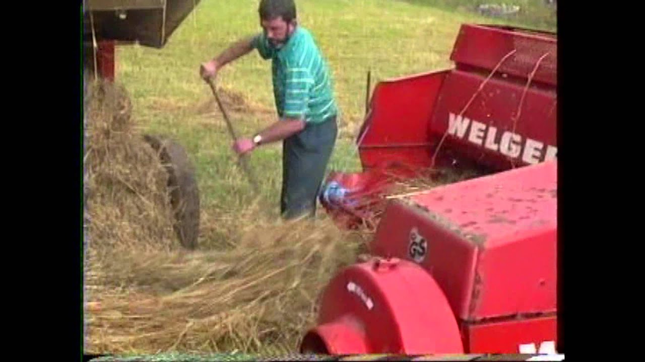 Thresher at work in Killawalla area