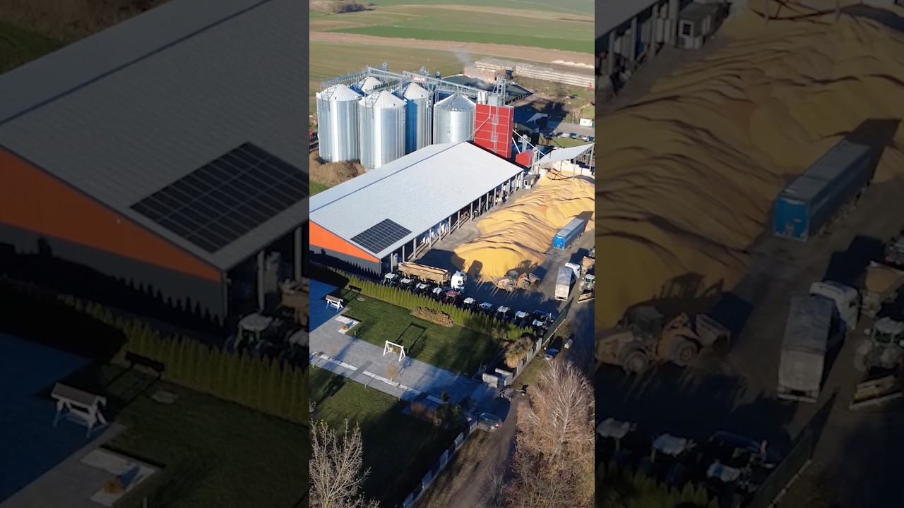 ZOBACZ TO! 🌽SKUP KUKURYDZY U GIERADA AGRO | #corn #farming #fendt #agriculture #agro #farm #