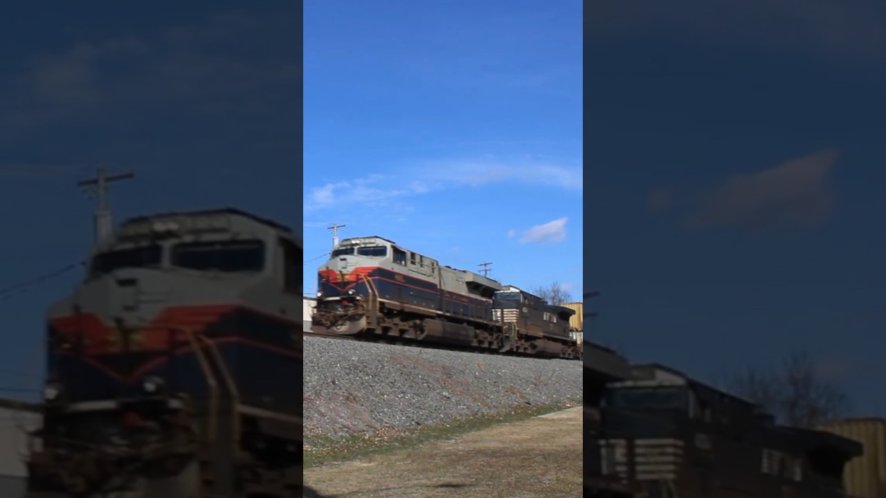 NS 8101 