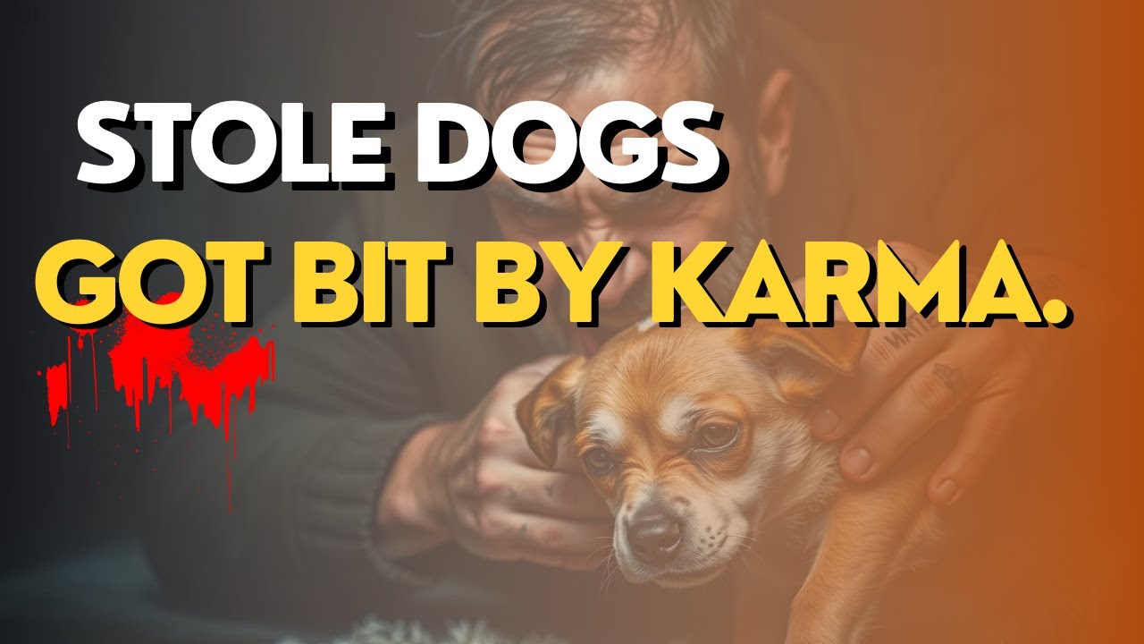 He Beat Dogs and Stole Pets &mdash; Until Karma Bit Back Harder Than Any Dog Could