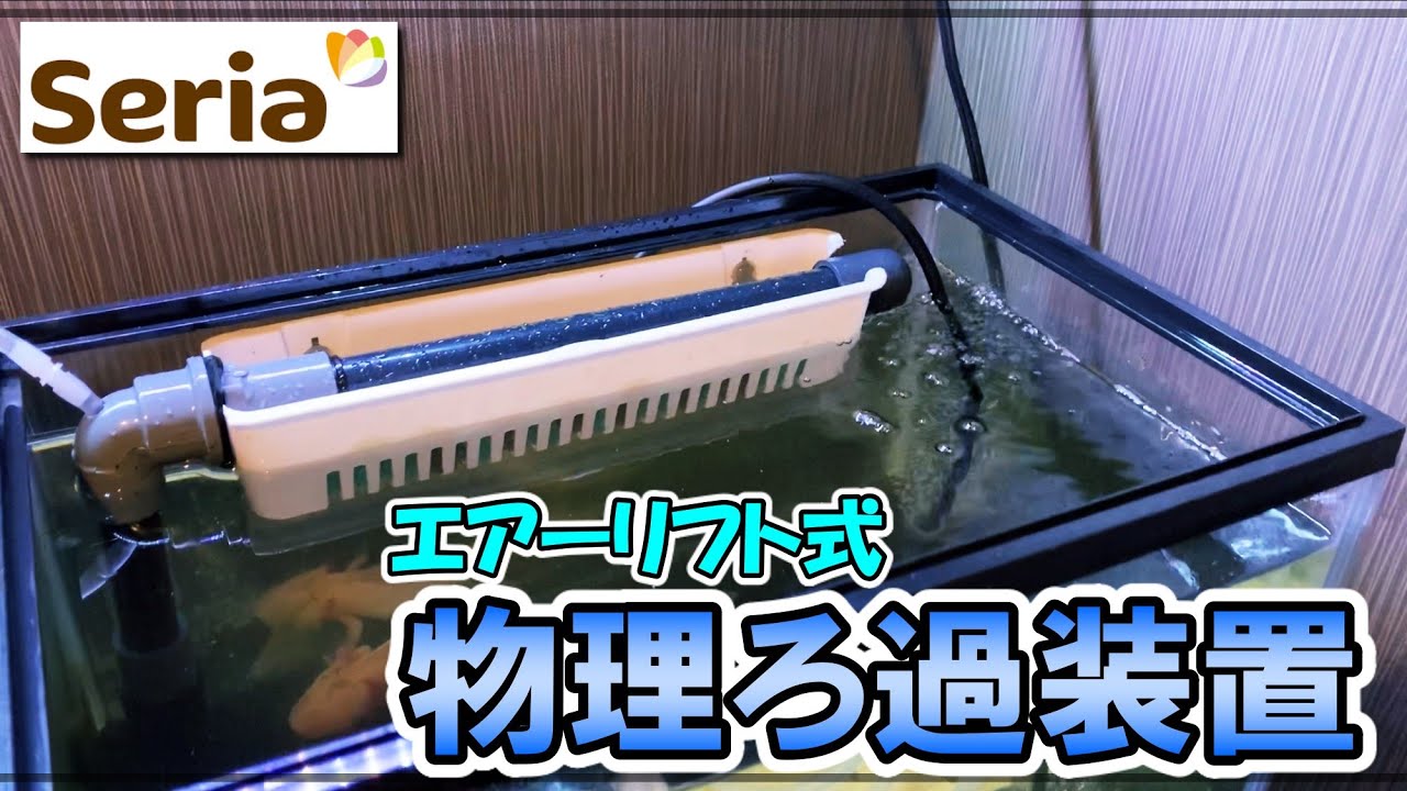 【DIY】100均商品で「物理？ろ過装置」作り！