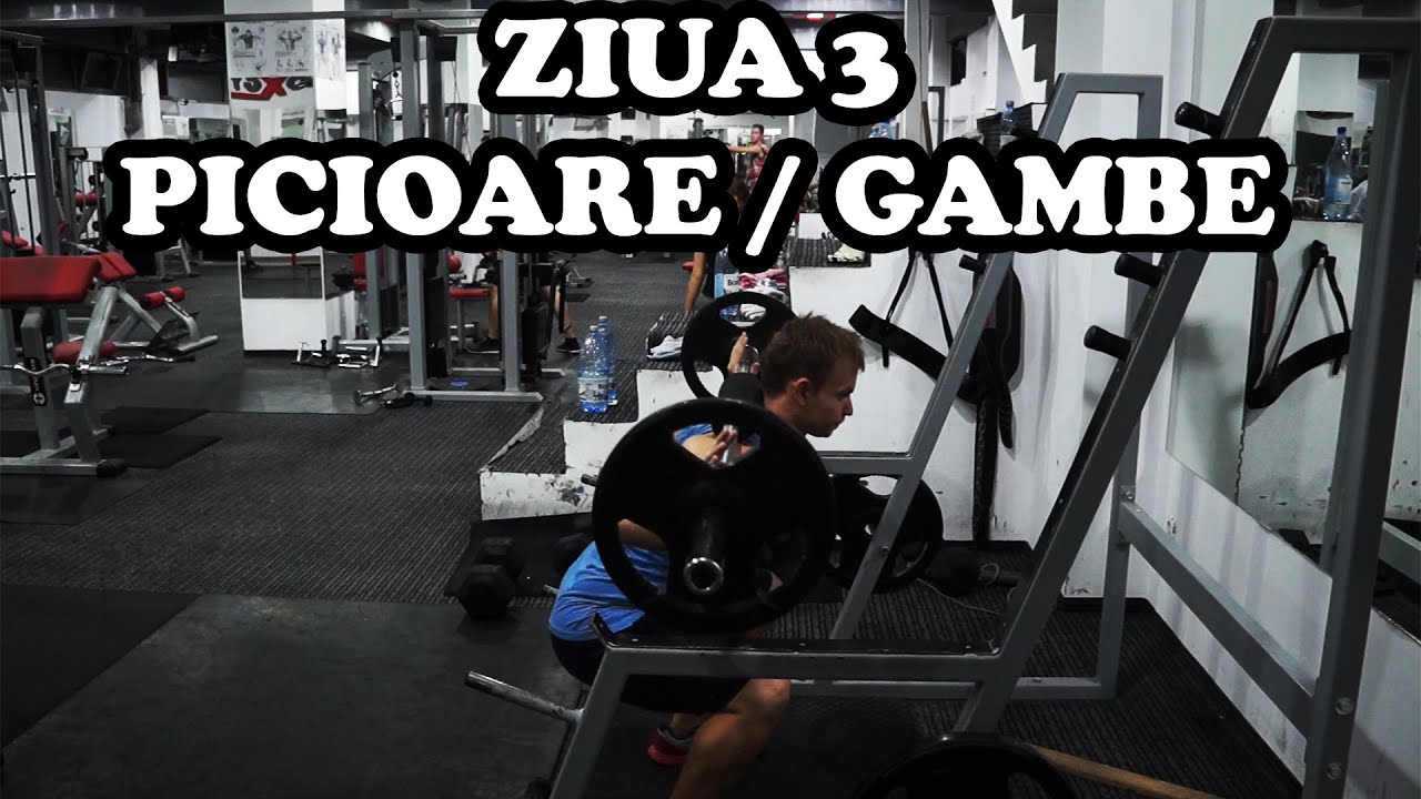 Picioare si Gambe | Ziua 3 | Program incepatori