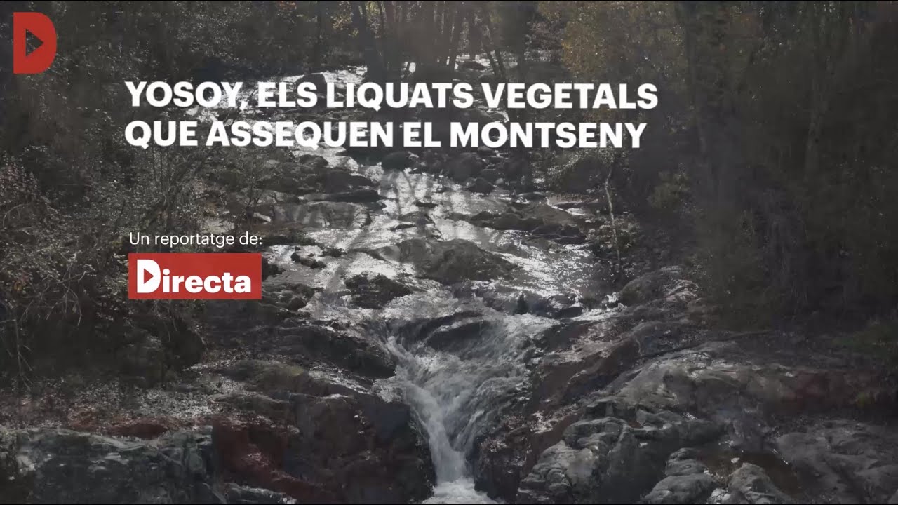 Yosoy, els liquats vegetals que assequen el Montseny