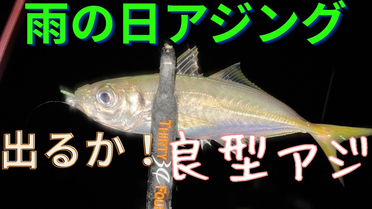 【アジング】　雨の日のアジング　良型狙い
