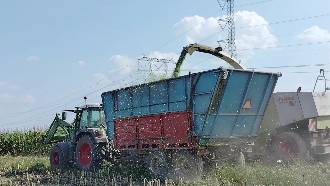 Koszenie Kukurydzy 2024 W Akcji 4 zestawy NH T6 MF8110 Fendt 309 Fendt 818