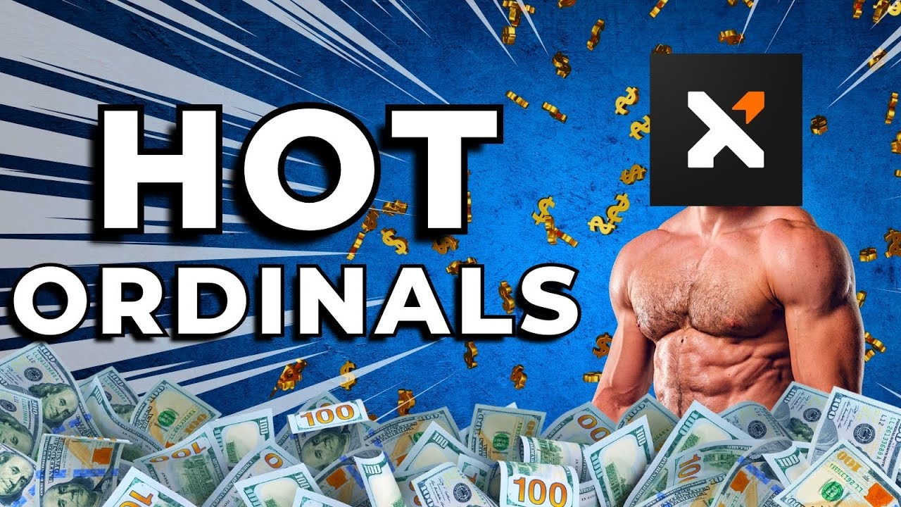 How Ordinals Just Became the Hottest Sector in Crypto! Xverse FUNDING SECURED 💰