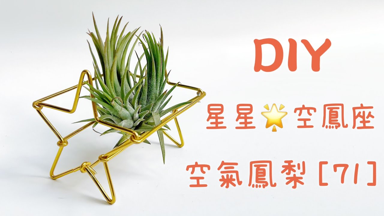 DIY wire 教你如何使用彩色鋁線製作空氣鳳梨  星星架 空鳳架 How to make Aluminum wire Air plant Star