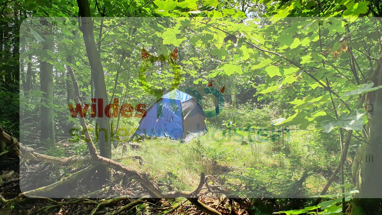 Wildes SH Schleswig-Holstein Wildcampen: 05 Enge-Sande (Wald) Kreis Nordfriesland