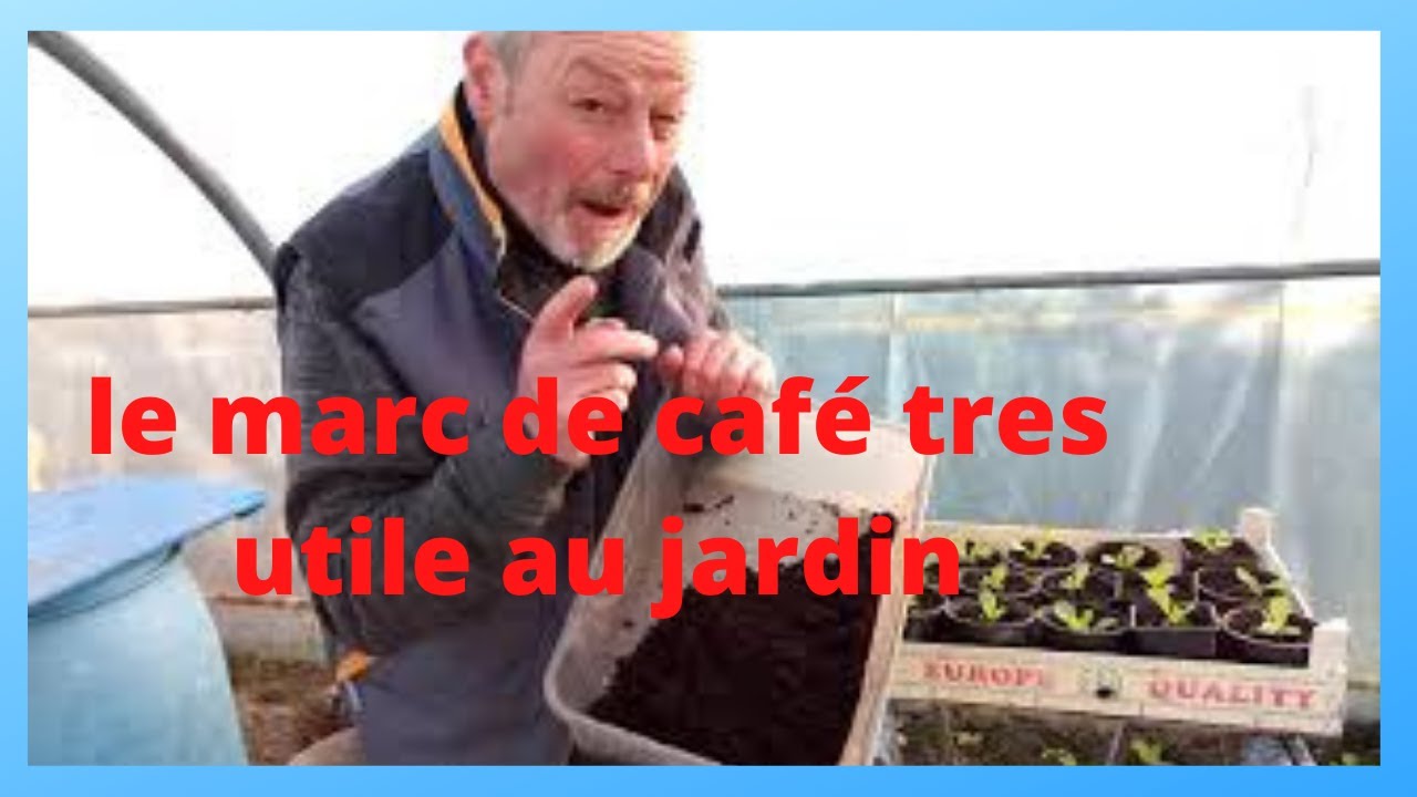 comment utiliser le marc de café au jardin. ????????