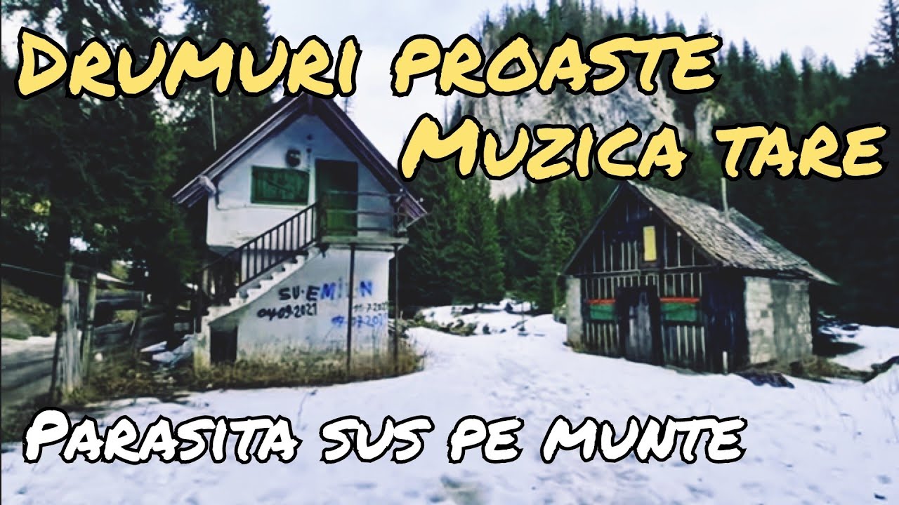 Lăptărie părăsită în munți. Surpriză mare de la un abonat fidel al canalului!