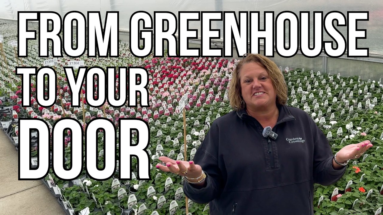 What Really Goes Into Growing Beautiful Annuals? | Behind the Scenes at Garden Crossings