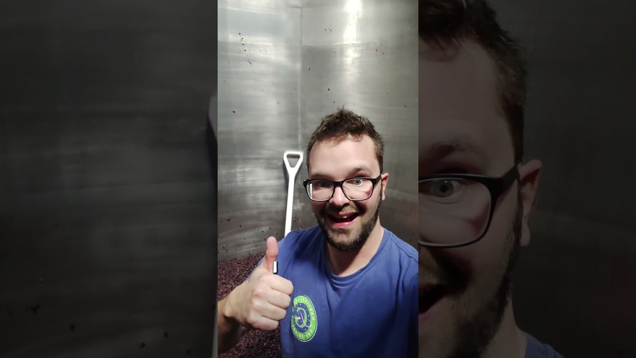Do you want to work in a winery?  #winerywork #vintage2025 #wine #harvest #travellingwinemakers