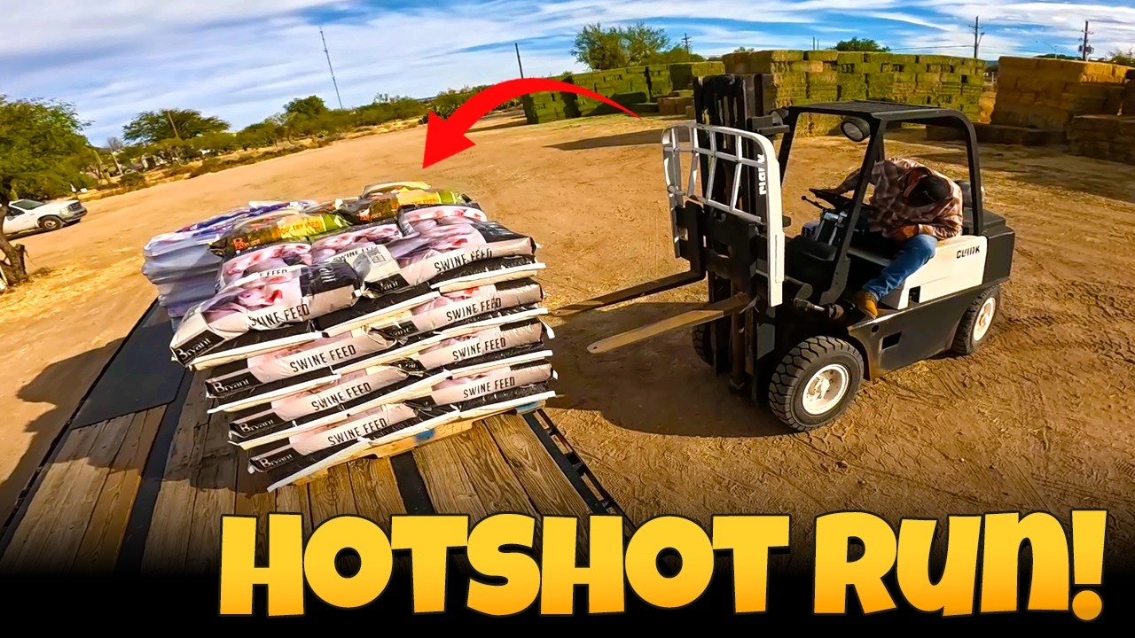 MEGA Cummins Hay Haul & Hotshot Grain Run!