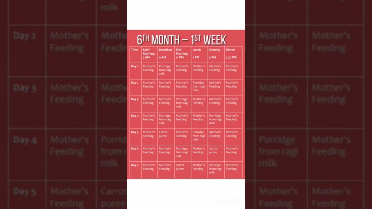 6 Month 1 Week Baby Food Chart