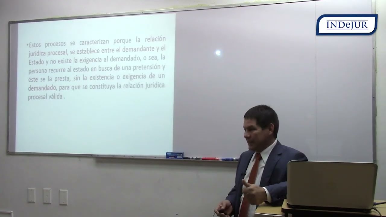 INDeJUR - El proceso no contencioso