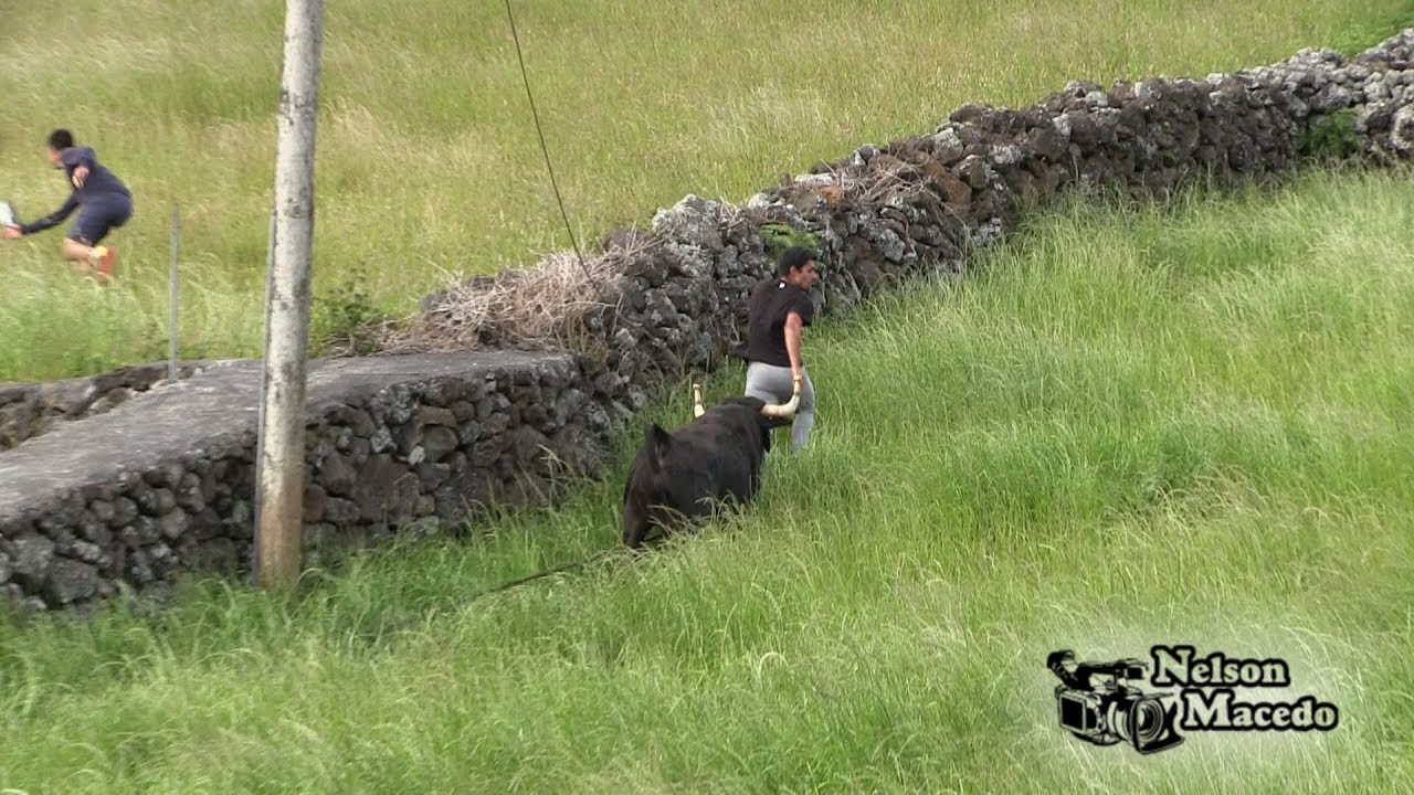 Forte Sorte na Tourada à Corda na Beira, dia 2 de Junho, Ganadaria E.R 2018, Ilha São Jorge Açores