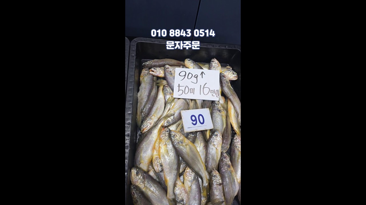 03/13 만해수산 어판장 실시간