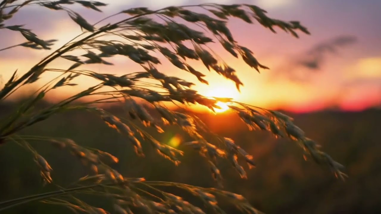 Vintage Italian Instrumental Music | Relaxing 80s Atmosphere