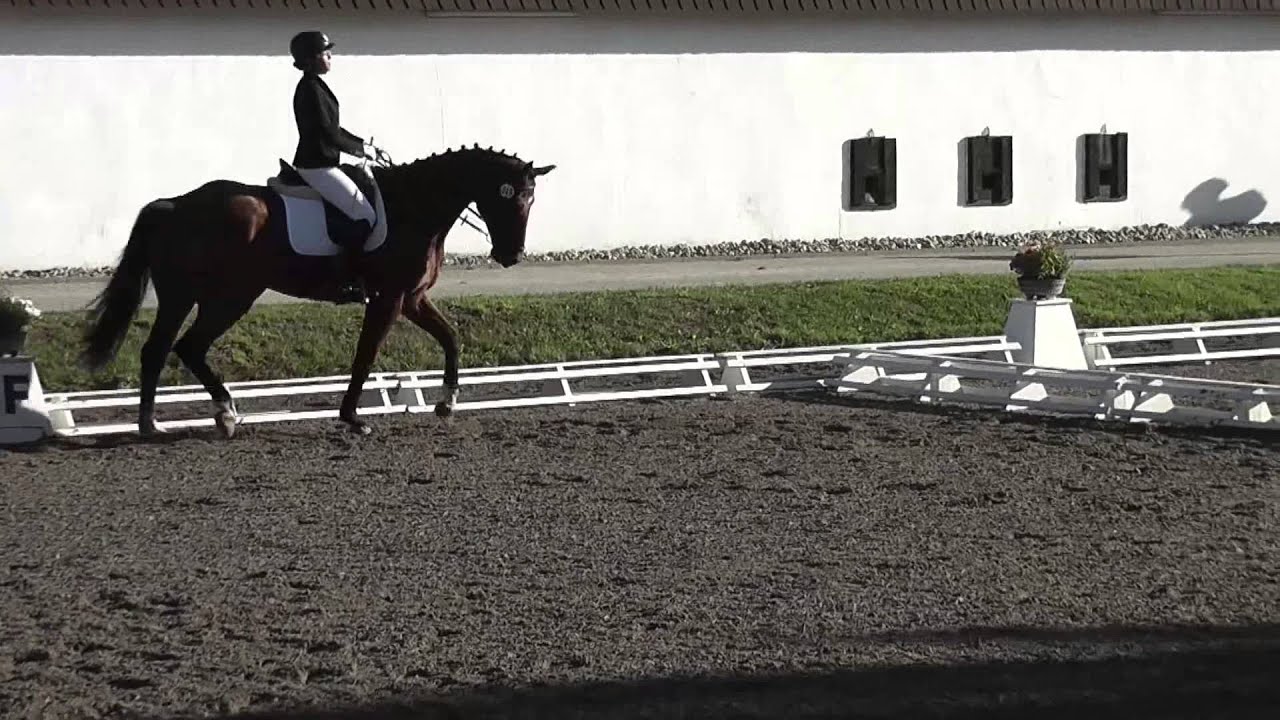A-Dressur Aufgabe A7 Biblis 15.08.2015