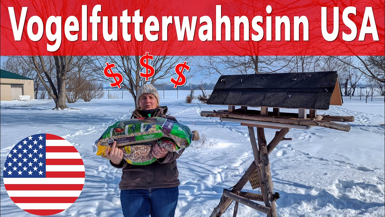 Vogelfutterwahnsinn USA – extreme Auswahl an Sorten und warum wir 6–8 kg Futter pro Tag verbrauchen