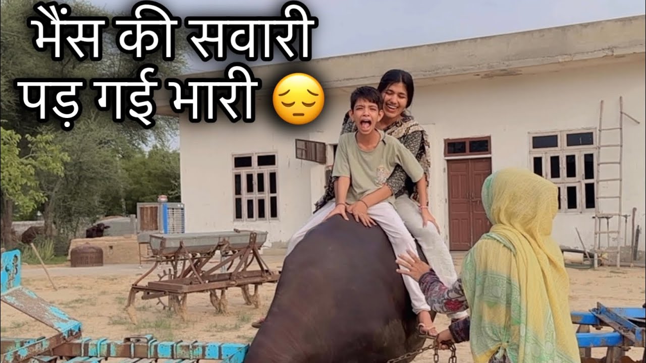 भैंस की सवारी करना पड़ गया महंगा 😢|| Manvi Singh Vlogs || 2025
