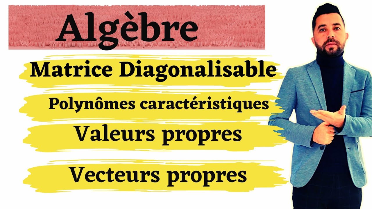 Matrice Diagonalisable Polynômes caractéristiques et Vecteurs Propres