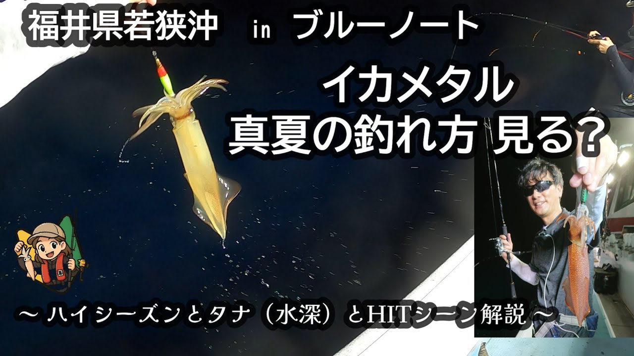 【イカメタル初心者】知っておきたい真夏の釣れ方と竿先の動き ～ブルーノート／福井県美浜町日向～