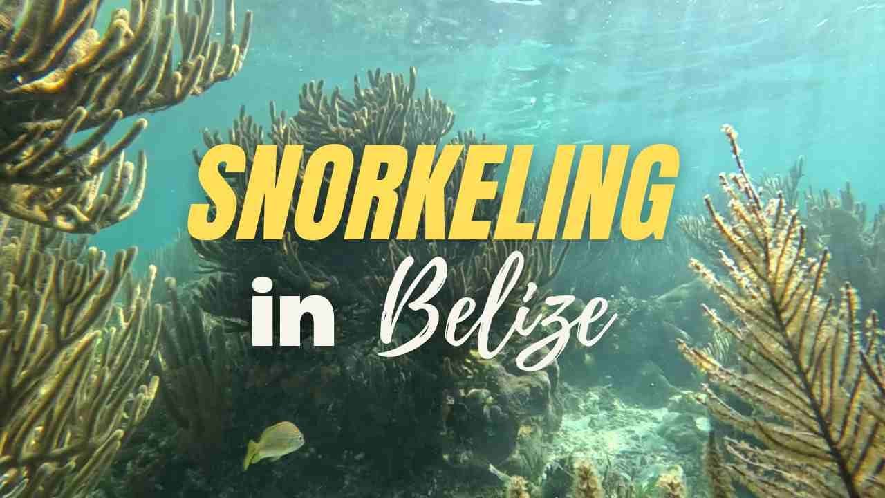 Snorkeling Adventure, Placencia Peninsula Belize