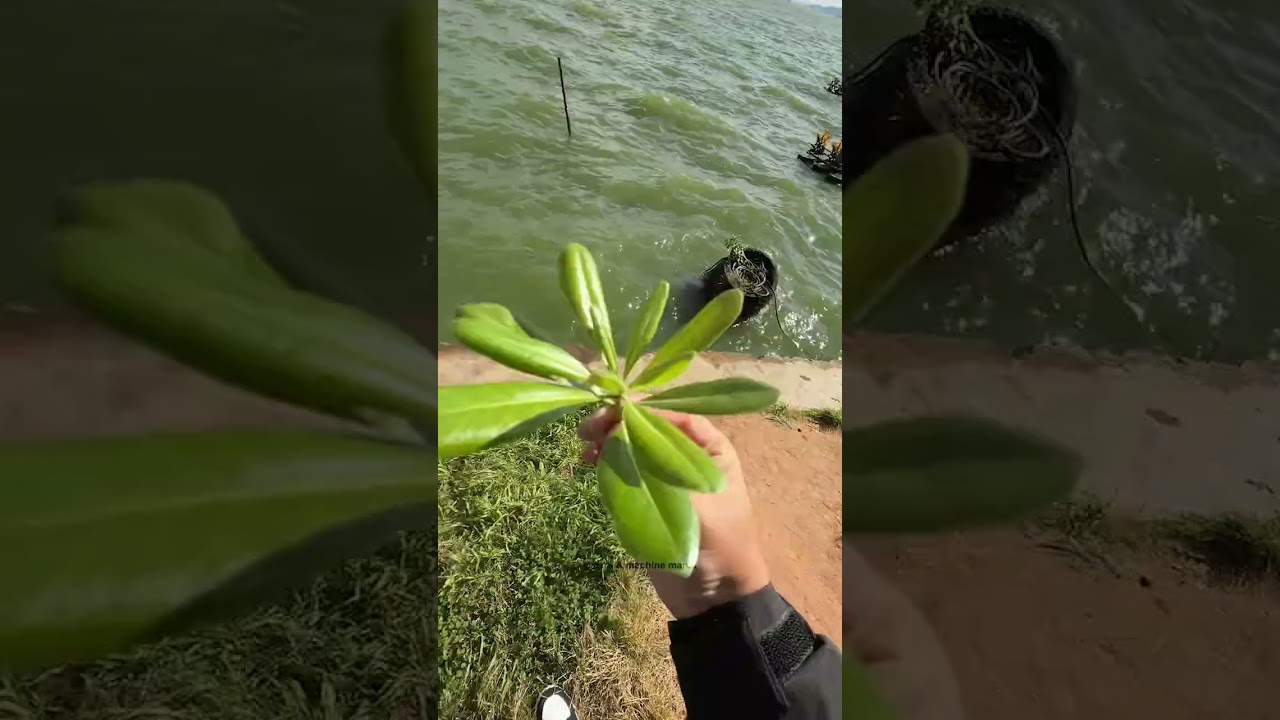 "NATURE EPIC EDIT 🌍🔥 Cinematic Beauty With Viral Music!"