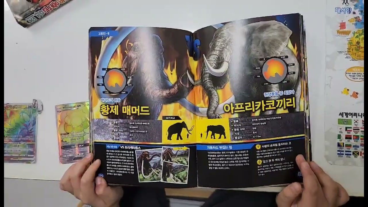 최강 동물왕(왕중왕전)