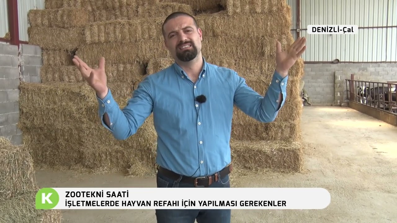 İŞLETMELERDE HAYVAN REFAHI İÇİN YAPILMASI GEREKENLER | ZOOTEKNİ SAATİ