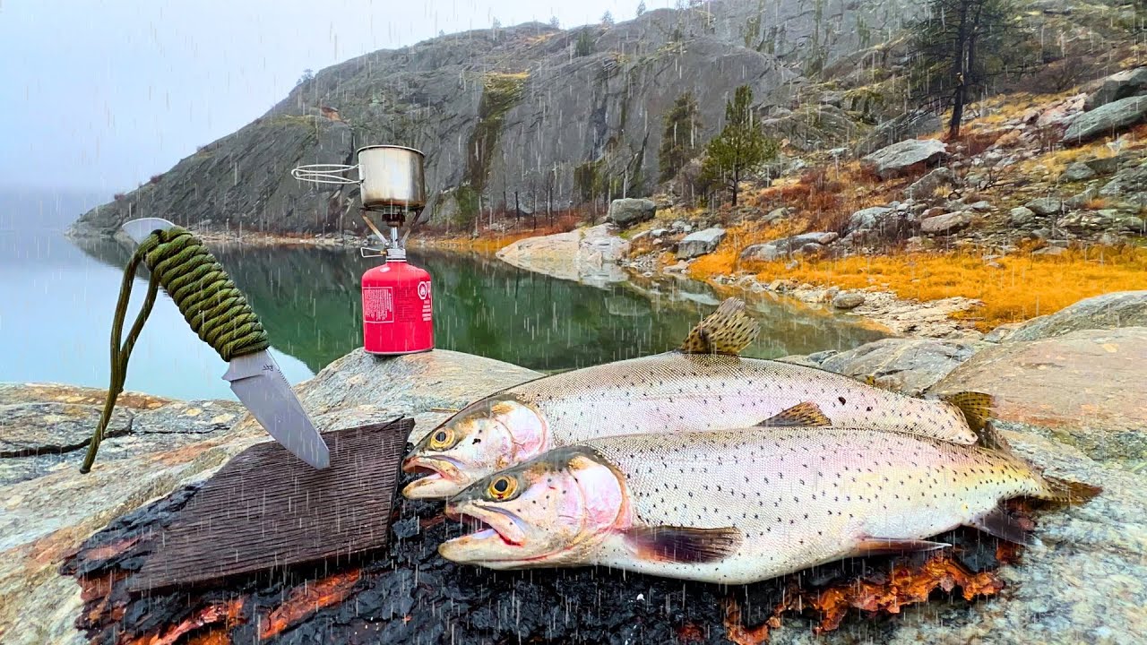 Fishing for Big Trout ALONE in the Rain!! (Catch & Cook)