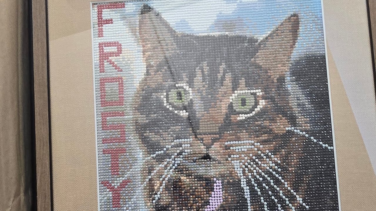 Finished, framed diamond painting and a new one from Walmart (I said Amazon. Its not)