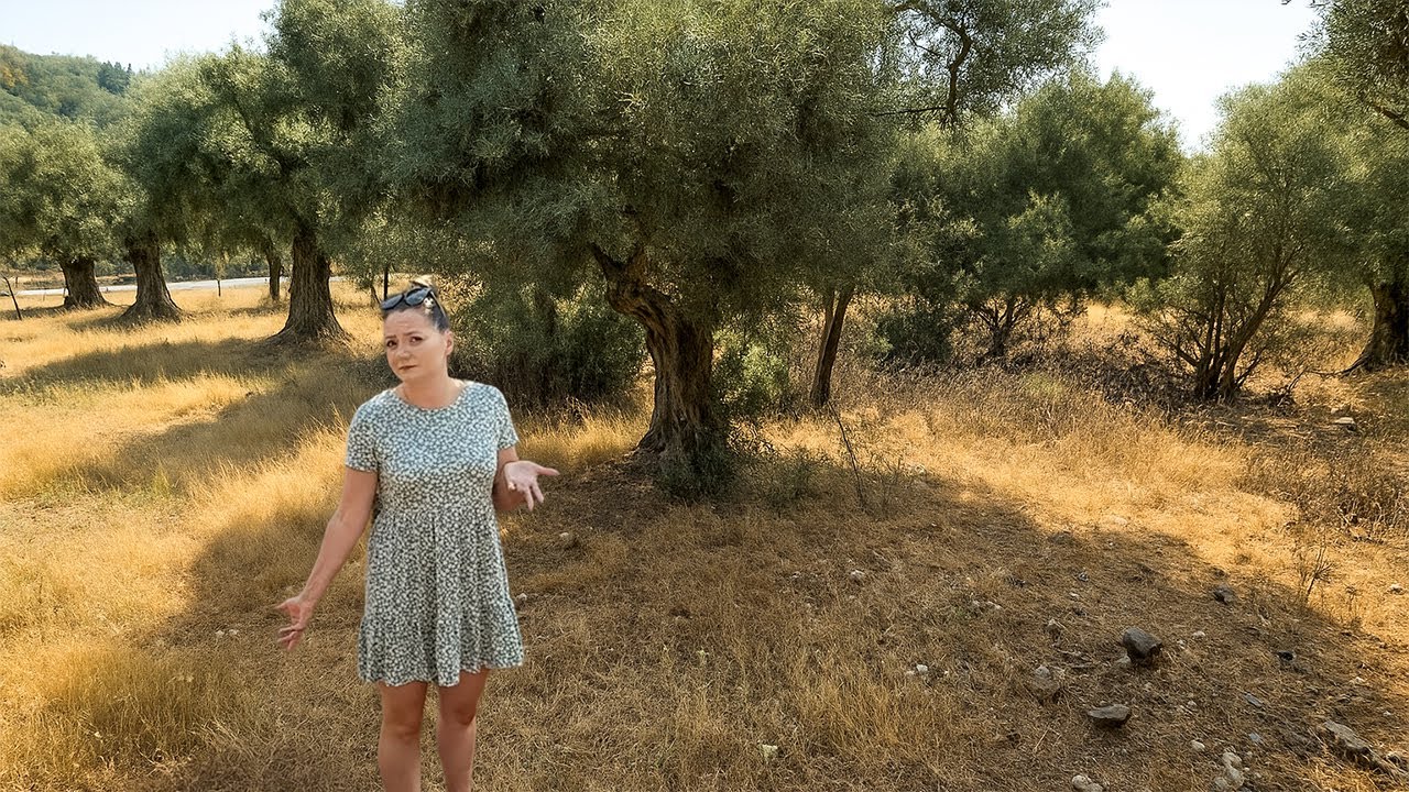 Ne-am CUMPĂRAT TEREN în Thassos, Grecia - Vlog 340