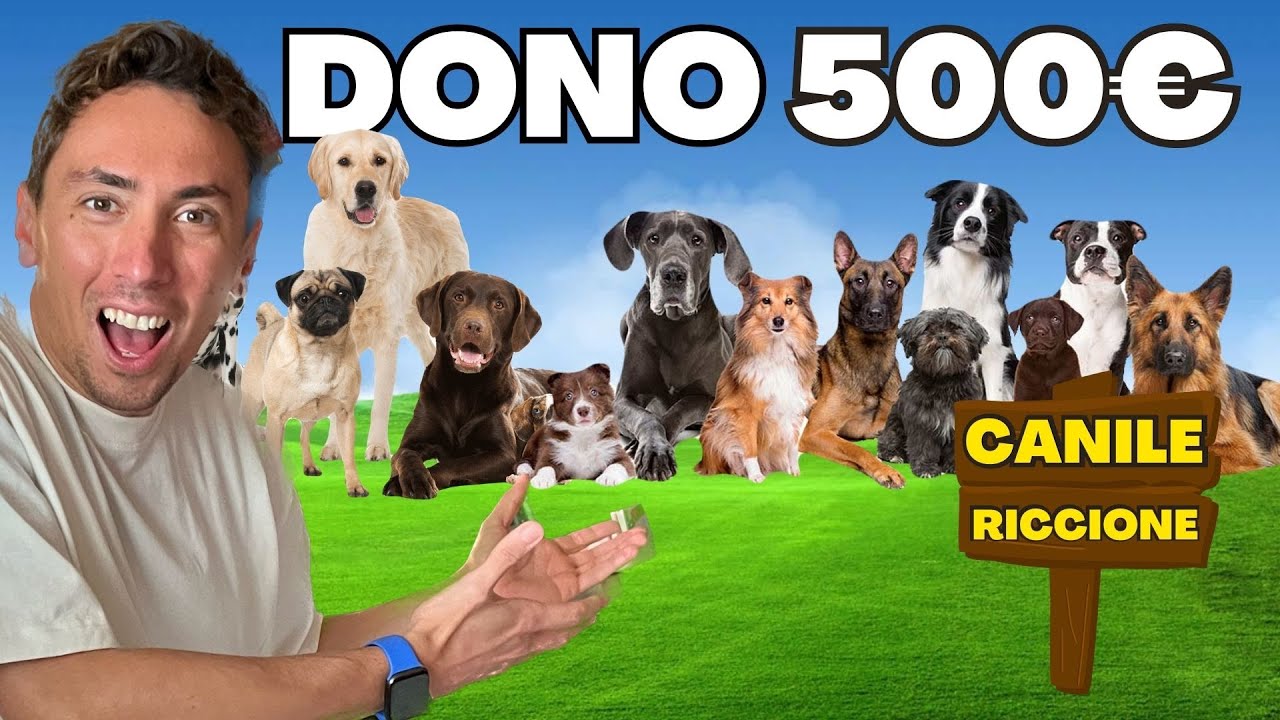DONO 500€ al CANILE di RICCIONE con i MIEI CANI