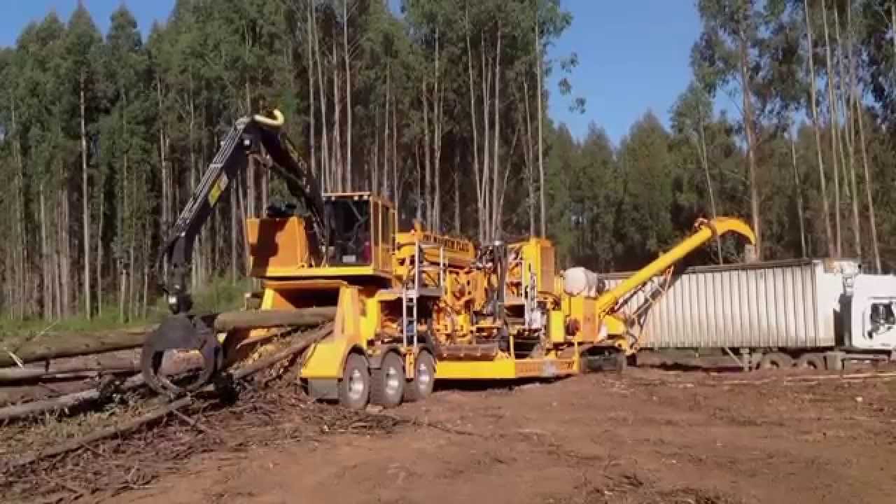 Eucalyptus Chipper – CBI 754 Disc Chipper & CBI Flail 604